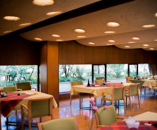 DSC_9718-505x420 log