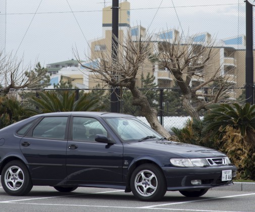 DSC0880-2-505x420 log