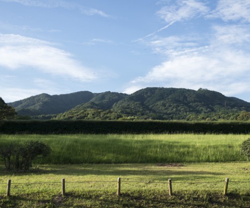 DSC78461-505x420 log