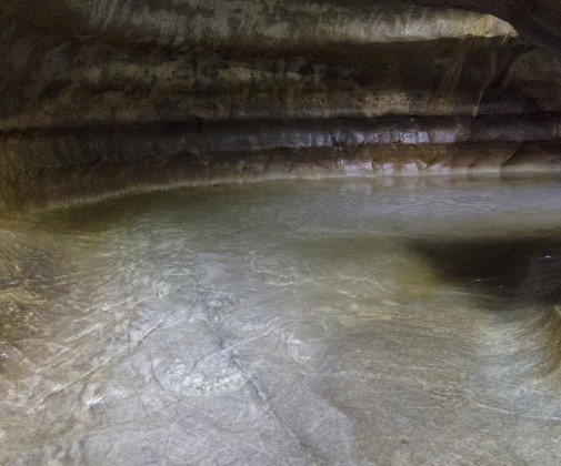 IMG_0222-505x420 log