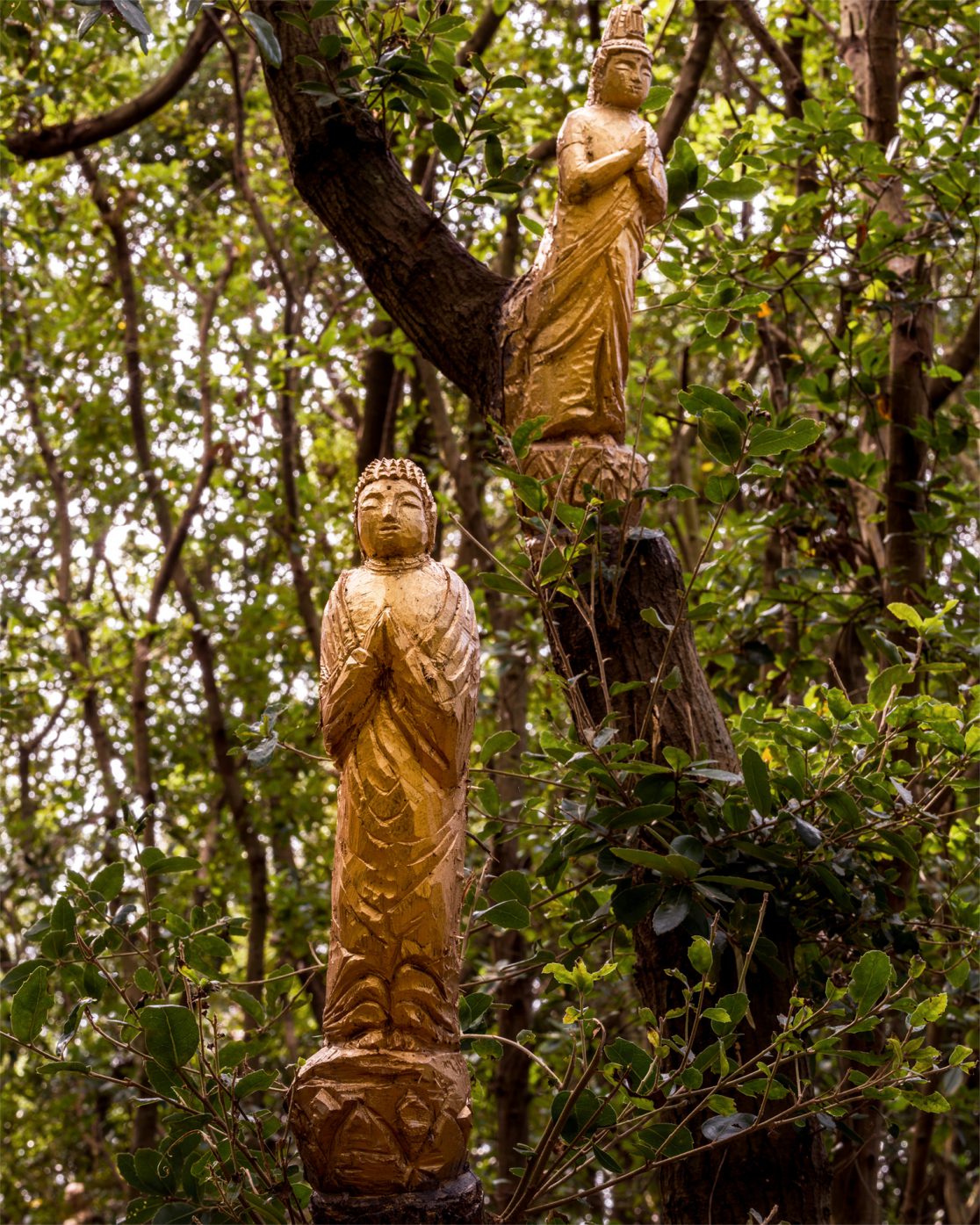 Tatzu Nishi｜西野達