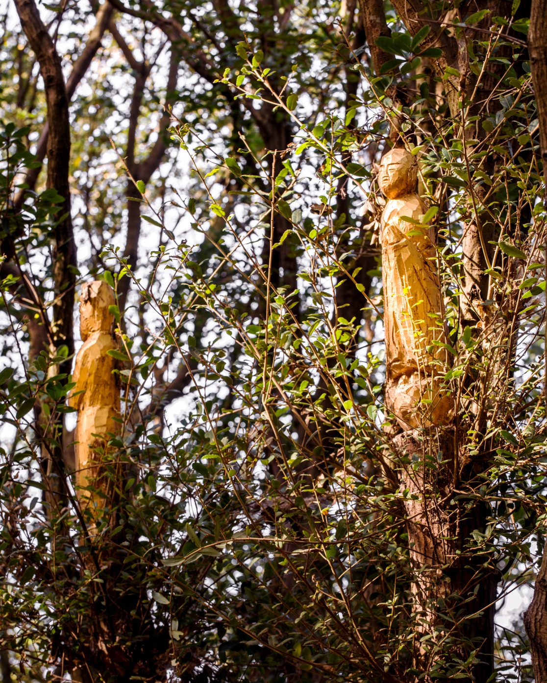 Tatzu Nishi｜西野達